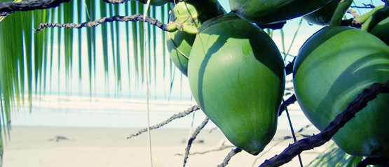 costa_rica